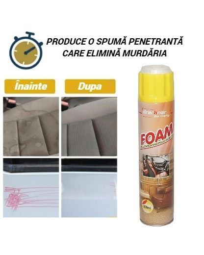 Foam cleaner 650ml