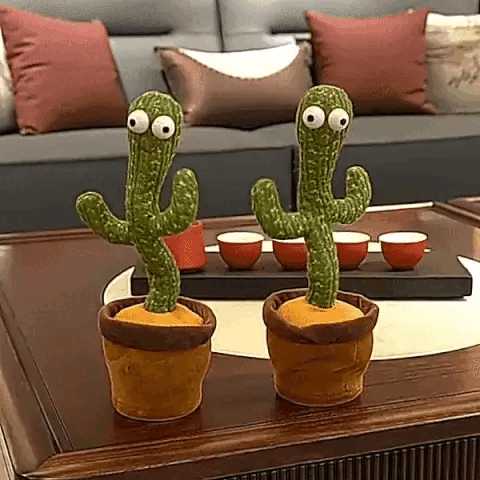 Cactus Dansator
