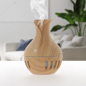 Umidificator Camera (PRET SPECIAL)